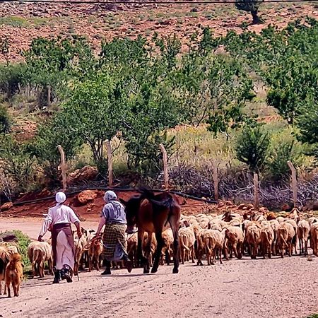 Ferme D"Hote Lala Fatima Ain Leuh Екстер'єр фото